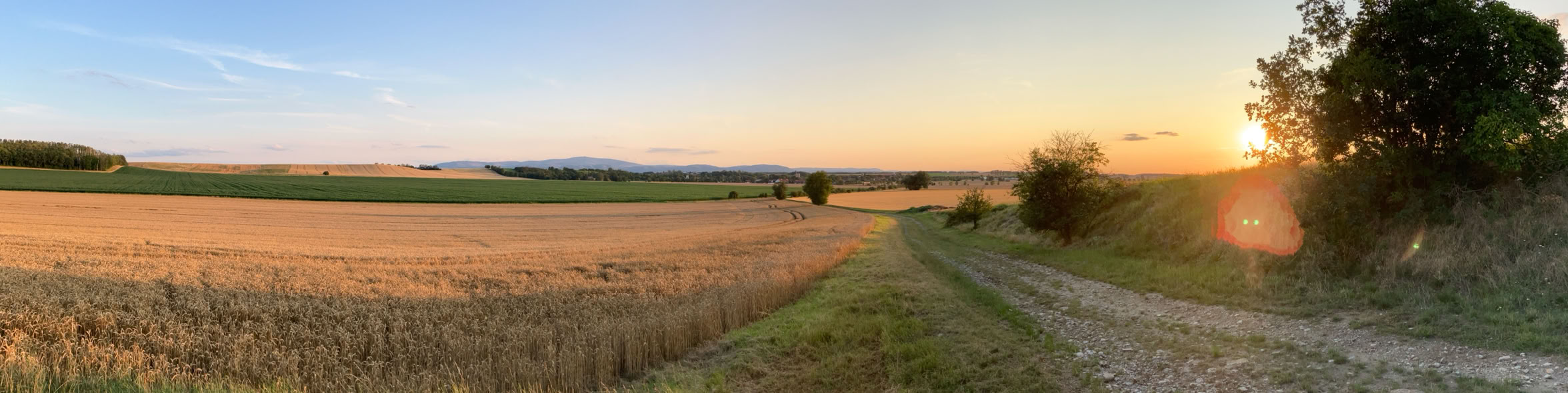 Landschaft bei Osterwiek mit Blick auf den Brocken