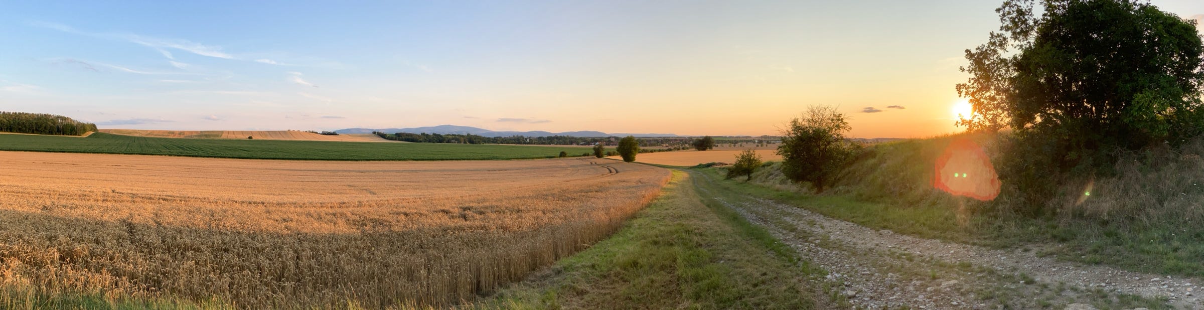 Landschaft bei Osterwiek mit Blick auf den Brocken